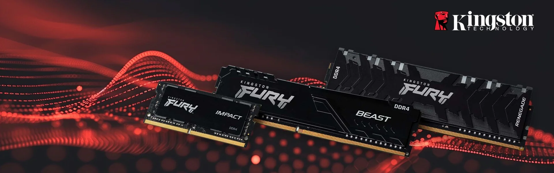 Kingston na HD Store
